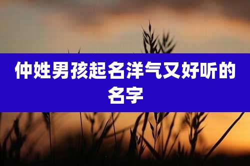 仲姓男孩起名洋气又好听的名字