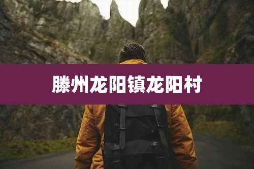 滕州龙阳镇龙阳村