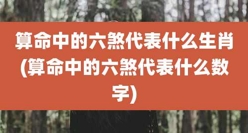 算命中的六煞代表什么生肖(算命中的六煞代表什么数字)