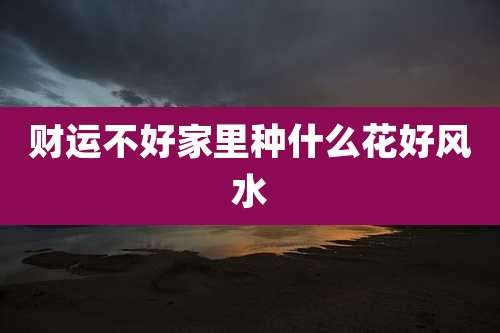 财运不好家里种什么花好风水