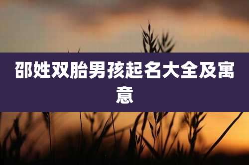 邵姓双胎男孩起名大全及寓意