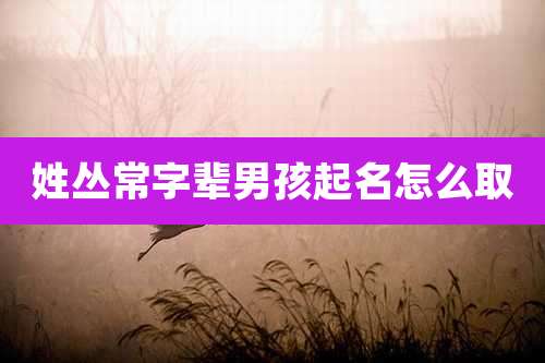 姓丛常字辈男孩起名怎么取