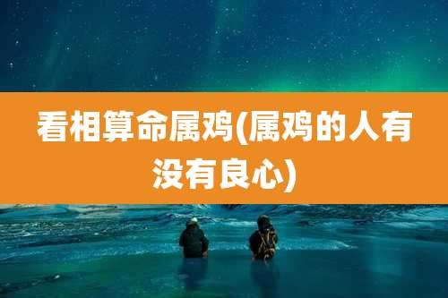 看相算命属鸡(属鸡的人有没有良心)