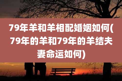 79年羊和羊相配婚姻如何(79年的羊和79年的羊结夫妻命运如何)