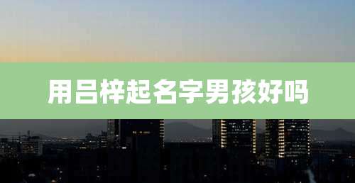 用吕梓起名字男孩好吗