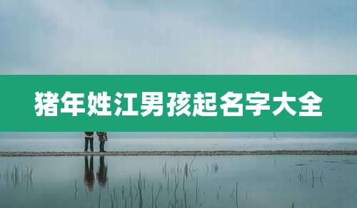 猪年姓江男孩起名字大全