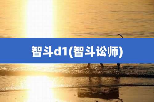 智斗d1(智斗讼师)