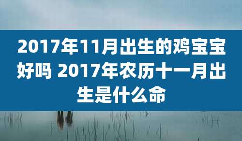 2017年11月出生的鸡宝宝好吗 2017年农历十一月出生是什么命