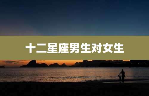十二星座男生对女生