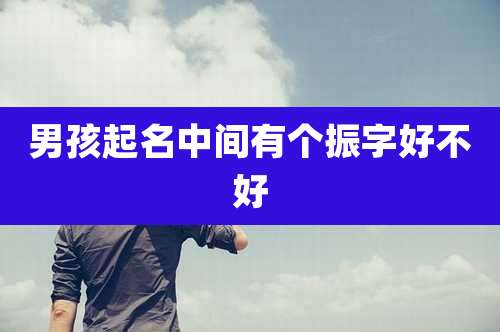 男孩起名中间有个振字好不好