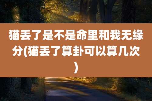 猫丢了是不是命里和我无缘分(猫丢了算卦可以算几次)