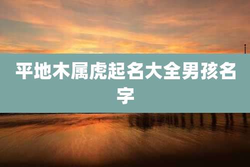 平地木属虎起名大全男孩名字