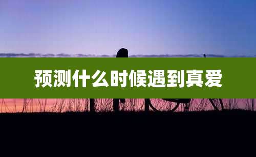 预测什么时候遇到真爱