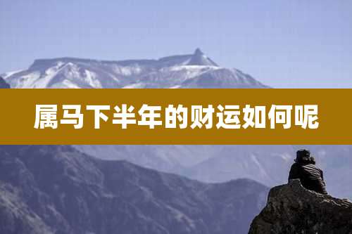 属马下半年的财运如何呢