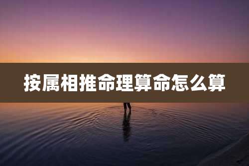 按属相推命理算命怎么算