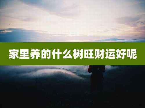 家里养的什么树旺财运好呢