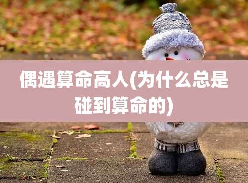 偶遇算命高人(为什么总是碰到算命的)