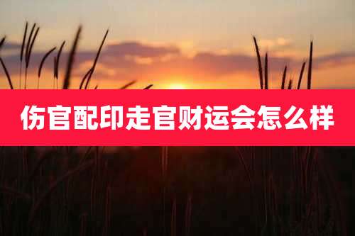 伤官配印走官财运会怎么样