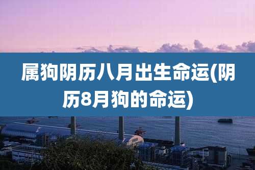 属狗阴历八月出生命运(阴历8月狗的命运)