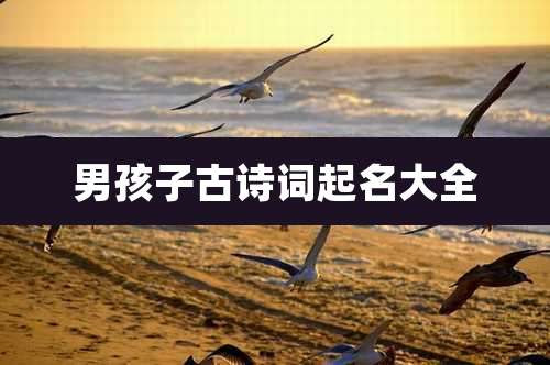 男孩子古诗词起名大全