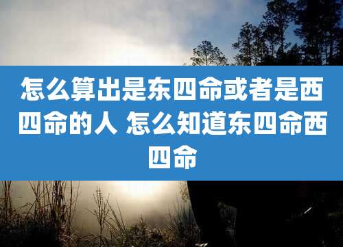 怎么算出是东四命或者是西四命的人 怎么知道东四命西四命