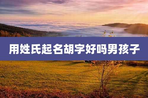 用姓氏起名胡字好吗男孩子
