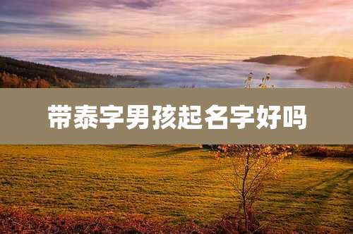 带泰字男孩起名字好吗