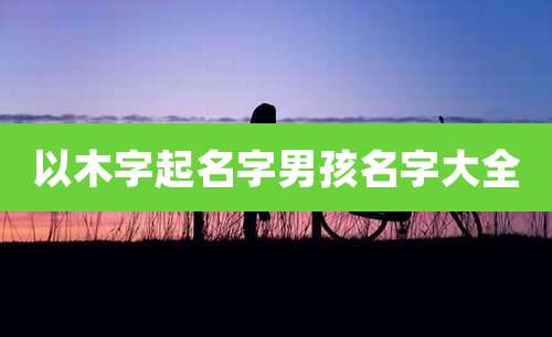 以木字起名字男孩名字大全