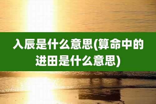 入辰是什么意思(算命中的进田是什么意思)