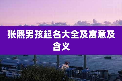 张熙男孩起名大全及寓意及含义
