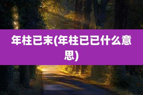 年柱已末(年柱已已什么意思)