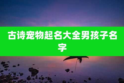 古诗宠物起名大全男孩子名字