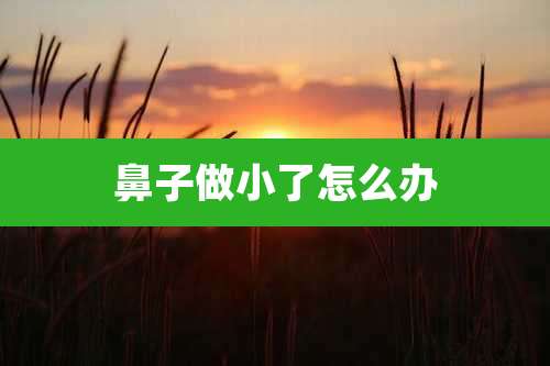 鼻子做小了怎么办