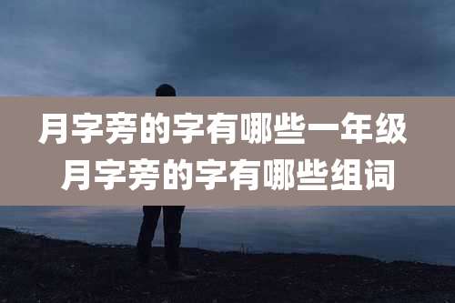 月字旁的字有哪些一年级 月字旁的字有哪些组词
