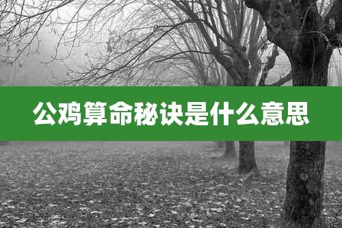 公鸡算命秘诀是什么意思