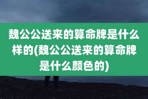 魏公公送来的算命牌是什么样的(魏公公送来的算命牌是什么颜色的)