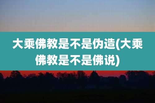 大乘佛教是不是伪造(大乘佛教是不是佛说)