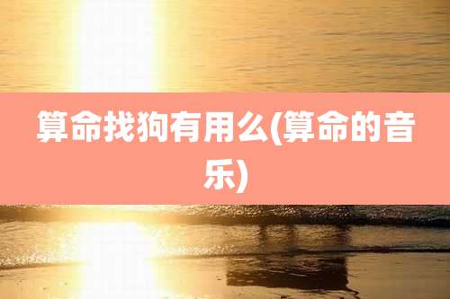 算命找狗有用么(算命的音乐)