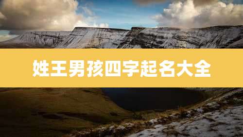姓王男孩四字起名大全