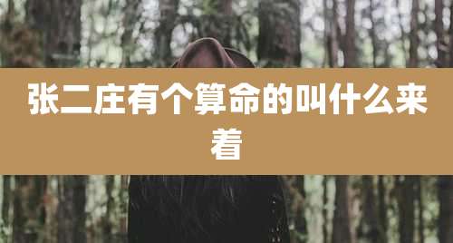 张二庄有个算命的叫什么来着