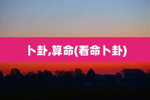 卜卦,算命(看命卜卦)