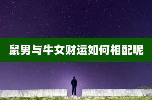 鼠男与牛女财运如何相配呢
