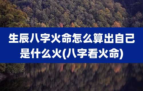 生辰八字火命怎么算出自己是什么火(八字看火命)
