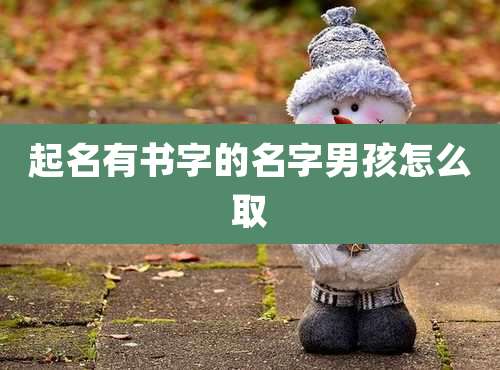起名有书字的名字男孩怎么取