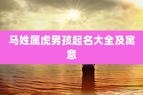 马姓属虎男孩起名大全及寓意