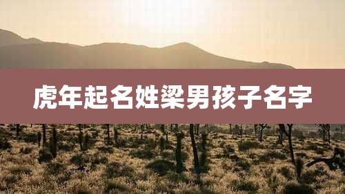 虎年起名姓梁男孩子名字