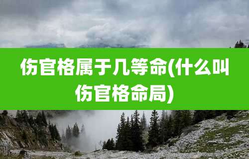 伤官格属于几等命(什么叫伤官格命局)