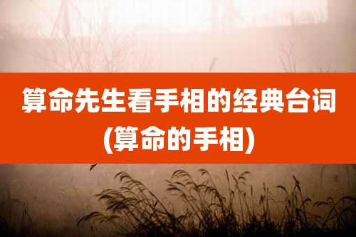 算命先生看手相的经典台词(算命的手相)