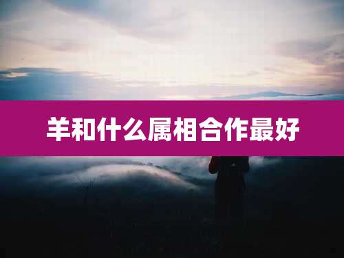 羊和什么属相合作最好