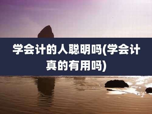 学会计的人聪明吗(学会计真的有用吗)